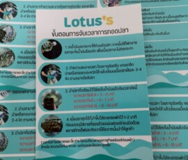 line album งานเก่า 260313 91