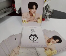 line album ไวนิล 260313 6
